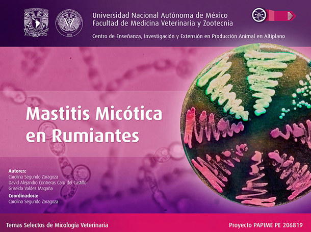 mastitis micótica